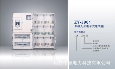 【單相九位電表箱廠家直銷,山東濟(jì)南三相單表位計(jì)量箱】?jī)r(jià)格,廠家,圖片,配電箱,山東中贏電力科技-